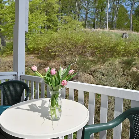 Strandnahe-ferienwohnung-8-villa-celia-sellin-fuer-6-personen-mit-wlan-sauna-insel-ruegen Apartament Sellin (Rugen)